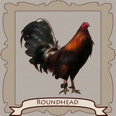 black jap gamefowl|Gamefowl Fighting Styles! » Reach Unlimited.
